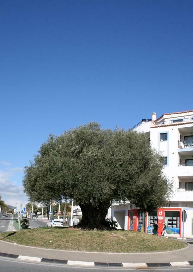 Appartement Monica Moraira Εξωτερικό φωτογραφία